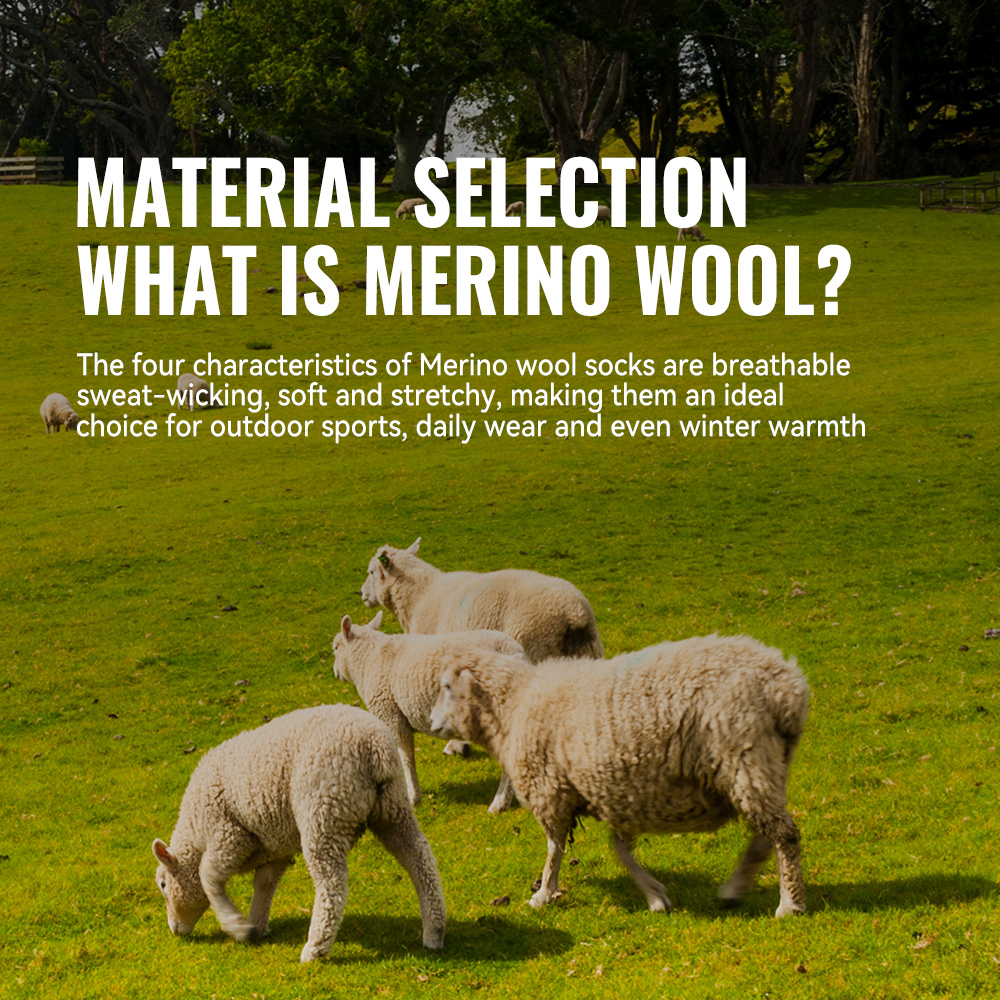 WRELS 1/2/3 Merino Wool Socks  - Wool Hiking Sock บทวิจารณ์และราคา