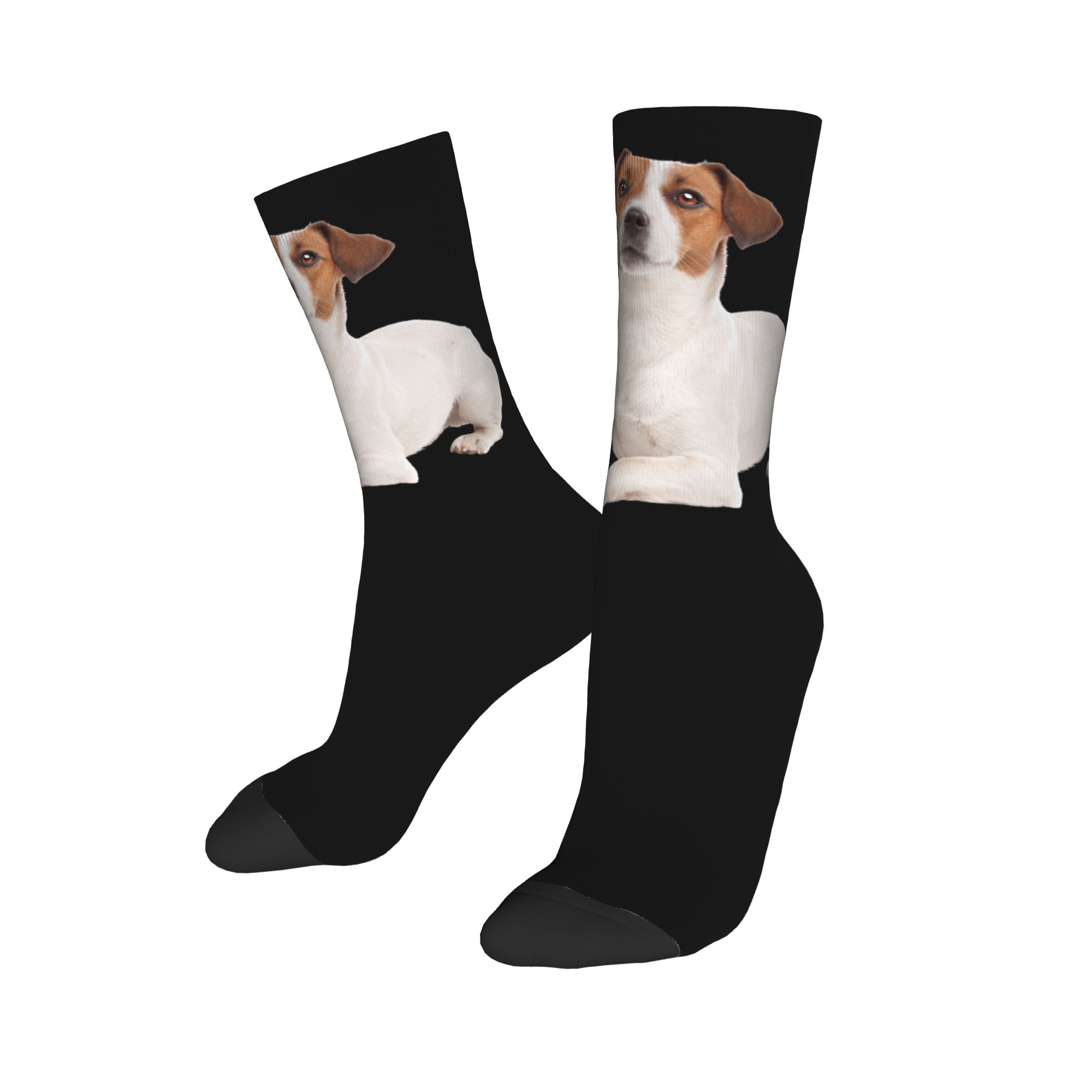 Custom Jack Russell Terrier Do - Dress Sock Men บทวิจารณ์และราคา